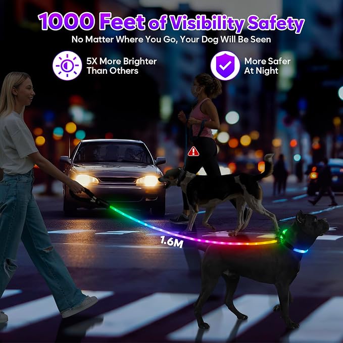 Light Up Dog Leash with Collar 2-in-1, 14 LED Modes Reflective Leash for Medium Large Dogs, USB Rechargeable Waterproof Adjustable Night Walking for Safety - Image 2