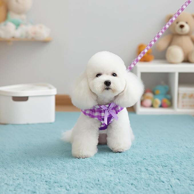 EXPAWLORER Step-in Dog Harness Small Sized and Leash Set | Cute Small Dog Harness No Pull Girl, Breathable Soft Mesh Padded, Adjustable Light Puppy Vest for Dogs Cats, Purple M - Image 7