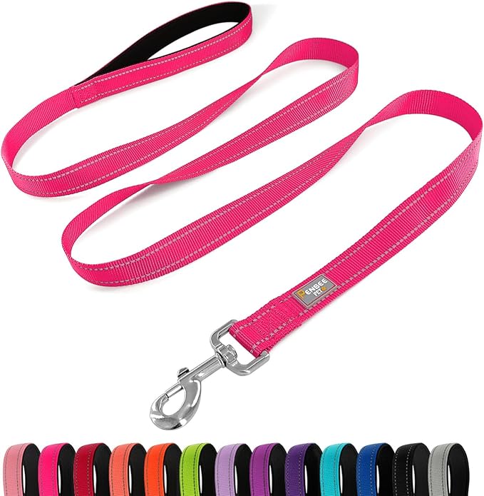 6 FT Basic Dog Leash for Small Dogs,Hot Pink | Padded Handle,Metal D-Ring,Heavy Duty Nylon Webbing, for Walking & Training by Penseepet