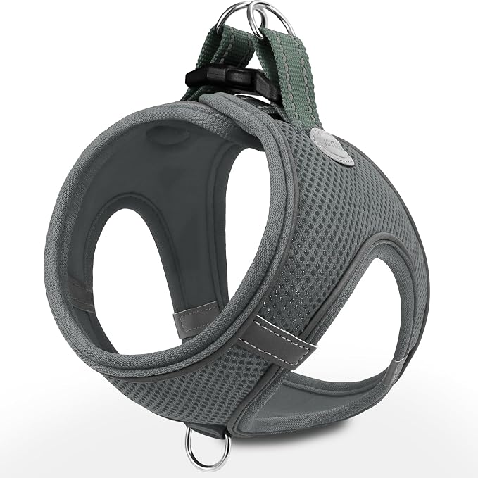 Joytale Step-in Dog Harness, Soft Breathable Mesh, Gray XS | Adjustable Fit for Small Dogs, Easy Step-in with Secure Fastener, Even Chest Pressure, Reflective For Night Safety, Washable by Joytale