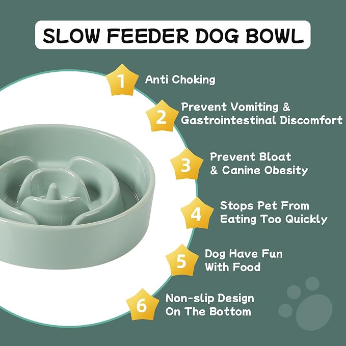 Havniva Dog Bowls Slow Feeder, Ceramic Slow Feeder Dog Bowls for Fast Eater | 0.9 Cups Dog Food Bowl Puzzle Feeder, Slow Feeding Bowls for Small Breed, Non-Slip Base, Anti-Choking - Image 5