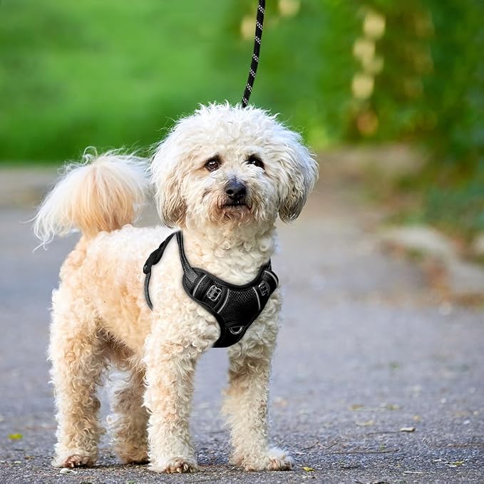BARKBAY No Pull Dog Harness Large Reflective Dog Harness with Front Clip and Easy Control Handle for Walking Training Running with ID tag Pocket(Black,XS) - Image 9