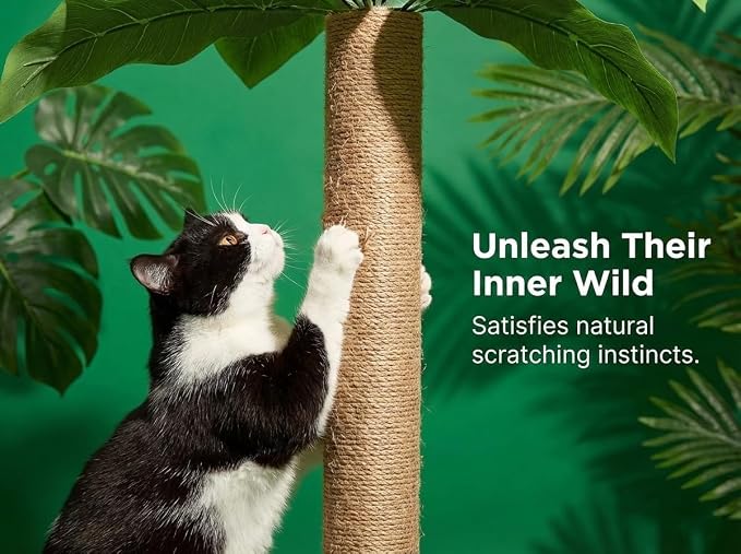 LEMONDA 31.5Inch Cat Scratching Post,Cat Scratcher Tree with 3 Scratching Poles & 2 Interactive Dangling Balls,Cats Scratching Posts for Indoor Kitten & Adult Cats | Cat Scratcher Tree, Cat Scratching Posts,3 Scratching Poles,2 Interactive Dangling Bal... - Image 5