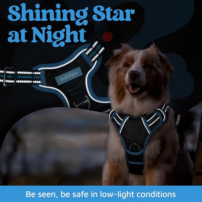 rabbitgoo Dog Harness Medium Sized, No Pull 3 Buckles Easy On & Off | Soft Padded, Walking with Control Handle, Adjustable and Reflective, Black & Blue, Medium - Image 6