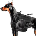 Heavy-Duty Tactical Dog Harness for Large Dogs, No Pull Adjustable Reflective Pet Vest with Molle System, K9 Military-Grade Control for Service Training, Outdoor & 10+ Breeds, Black, Large by Bruvoalon