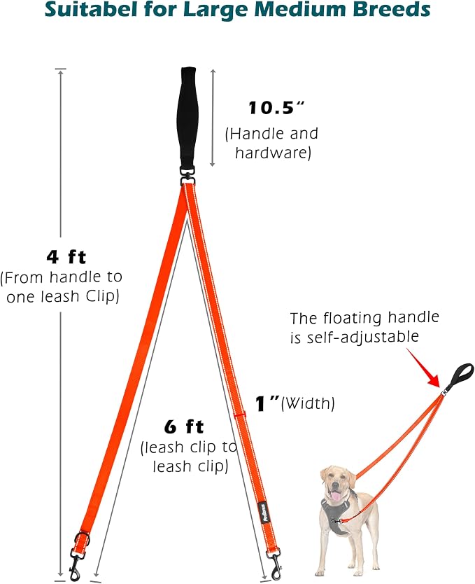 PetBonus Two Point Control Dog Leash, No Tangle Training Walking Leashes | Soft Padded Handle, Reflective, Works with No Pull Harnesses, Converts to Single Lead for Medium Large Dogs, Orange - Image 4