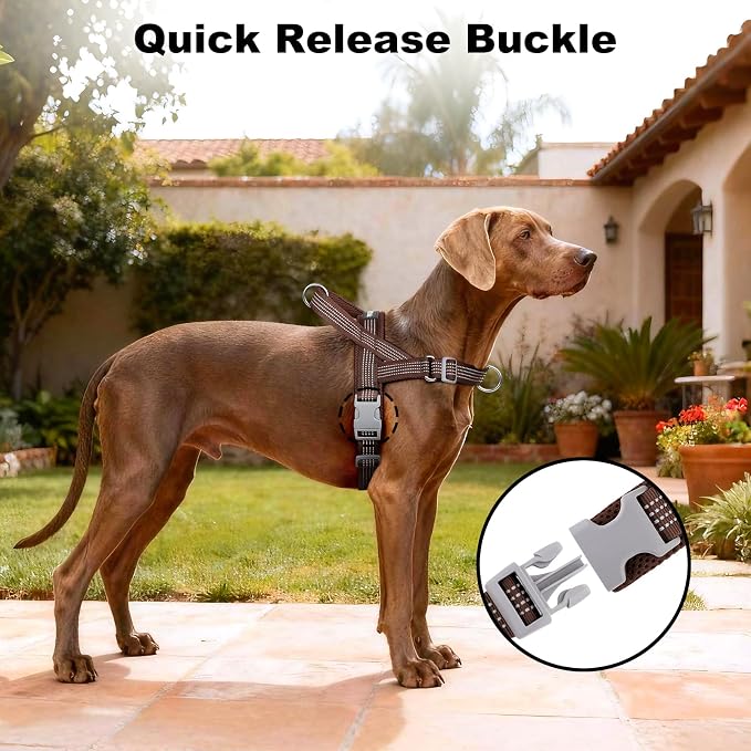 No Pull Dog Harness with Handle, Adjustable Soft Mesh Padded Vest | Reflective Walking Harness with Front Clip for Small Medium Large Dogs, Quick Fit No Escape for Training, Chocolate, M - Image 6