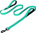 Joytale Dog Leash for Large Dogs that Pull, Double Handle, 4FT, Teal | Traffic Handle for Control, Padded Handle Reduces Hand Strain, Reflective Stitching for Night Safety, Strong Nylon Webbing by Joytale