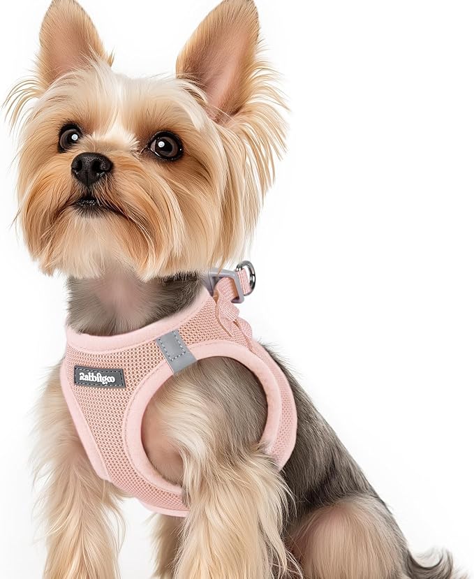 rabbitgoo Step-in Small Dog Harness, Puppy Vest for Small Sized Pet | Easy Put on and off, Lightweight, Soft, Breathable Quick-Dry Air Mesh for Comfortable Secure Walking, Pink XS by rabbitgoo