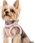 rabbitgoo Step-in Small Dog Harness, Puppy Vest for Small Sized Pet | Easy Put on and off, Lightweight, Soft, Breathable Quick-Dry Air Mesh for Comfortable Secure Walking, Pink XS by rabbitgoo