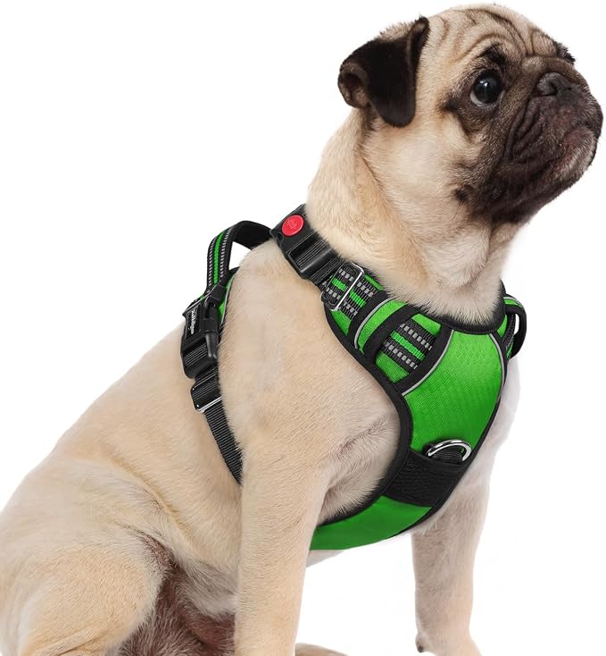 rabbitgoo Dog Harness Small Sized, No Pull 3 Buckles Easy On & Off | Soft Padded, Walking with Control Handle, Adjustable and Reflective, Green, Small by rabbitgoo