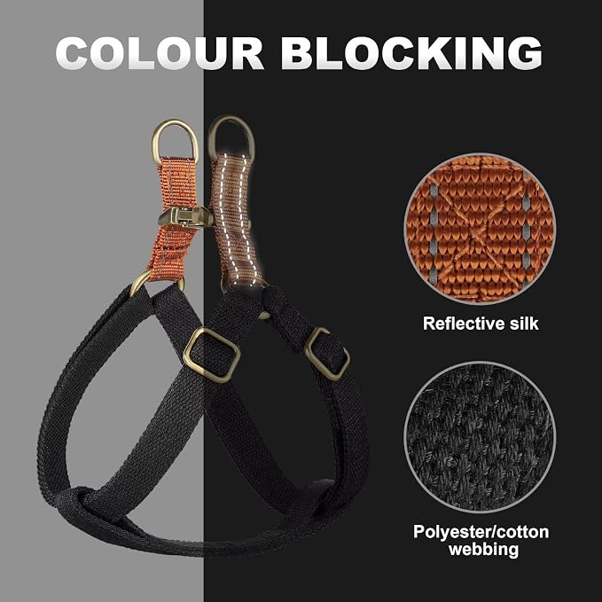 Step in Dog Harnes for Medium Dogs, Black, M, Chest 19-28" | Freedom Nylon Dog Halter Vests with Metal Buckles, Easy On and Off, Adjustable Straps, Escape-Proof, Easy Walking Training - Image 3
