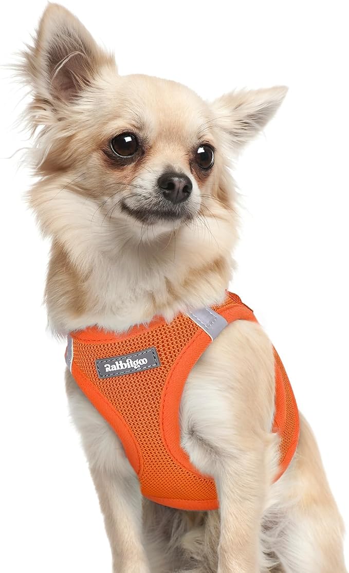 rabbitgoo Step-in Small Dog Harness, Puppy Vest for Small Sized Pet | Easy Put on and off, Lightweight, Soft, Breathable Quick-Dry Air Mesh for Comfortable Secure Walking, Orange XXXS by rabbitgoo