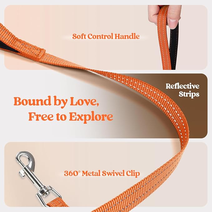 rabbitgoo Dog Harness Small Sized and Leash Set, Step-in Puppy Pet Vest | Light, Soft, Breathable Air Mesh, Easy on and Remove with Hook & Loop, Secure Reflective for Walking, Orange XXS - Image 6