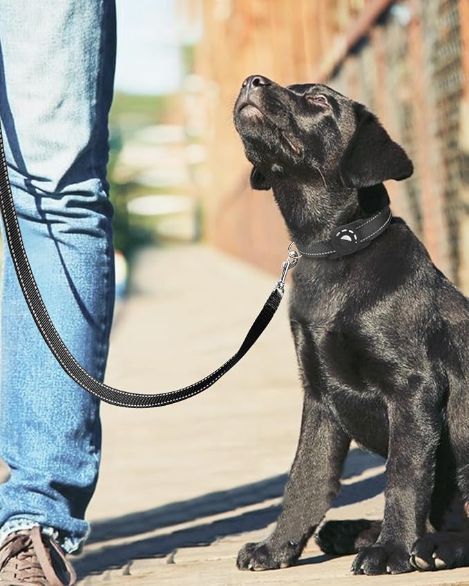 4FT Reflective Dog Leash, Padded Handle for Medium Large Dogs | Comfortable Nylon, Soft Handle Cushioning, Reflective Safety at Night, Training Leash for Park & Hiking (1in, Black) - Image 6