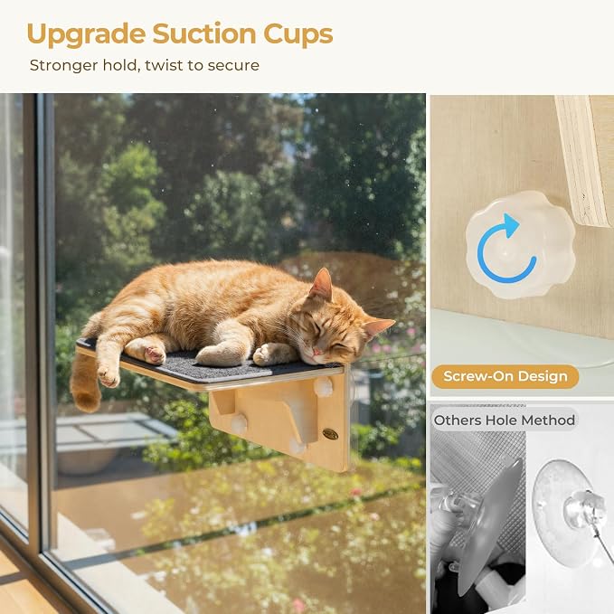 Pecute 2-in-1 Cat Window Perch & Wall Shelves, Cat Hammock Window 16"x10" | Solid Wood Frame, Strong Suction Cups, Washable Cover Mat, Window Bed for Kitten, Indoor Cats, Window Seat for Birds Watching - Image 7