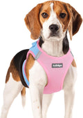 rabbitgoo Step-in Small Dog Harness, Puppy Vest for Small Medium Sized Pet | Easy Put on and off, Lightweight, Soft, Breathable Quick-Dry Air Mesh for Comfortable Secure Walking, Blue & Light Pink XL by rabbitgoo