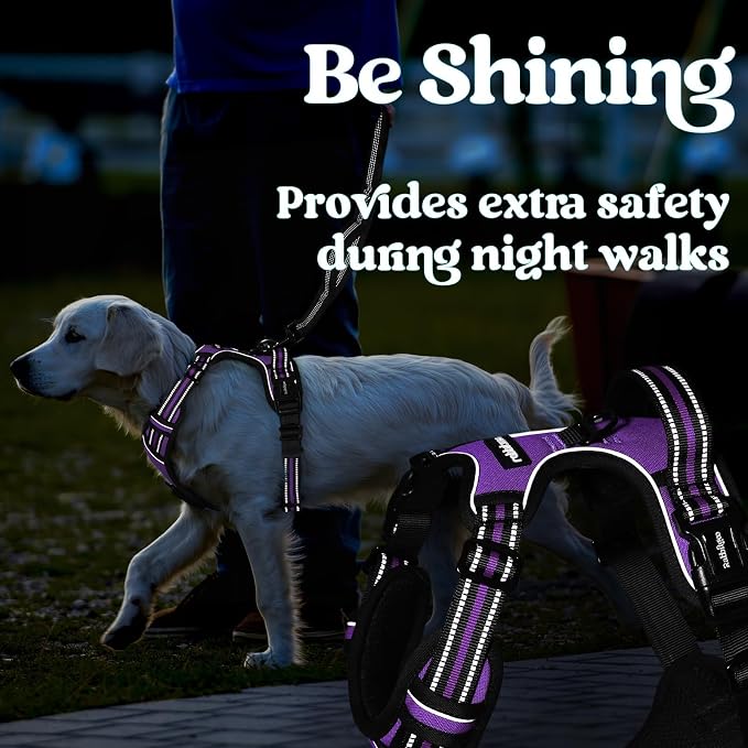 rabbitgoo Dog Harness Small Sized, Updated Easy On & Off with 3 Buckles | No Pull No Choke, Walking with 2 Clips and Handle, Adjustable Soft Reflective, Purple, Small - Image 9