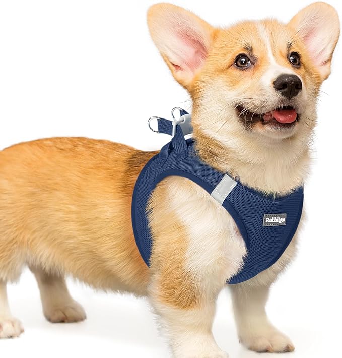 rabbitgoo Step-in Small Dog Harness, Puppy Vest for Small Medium Sized Pet | Easy Put on and off, Lightweight, Soft, Breathable Quick-Dry Air Mesh for Comfortable Secure Walking, Navy Blue L by rabbitgoo