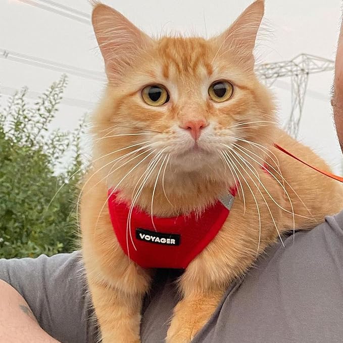 Voyager Step-in Air Cat Harness & Leash Set - Red, XXXS | 11 - 12" in Chest, Reflective Bands, All Weather Breathable Air Mesh, Cats Compatible, Fast Drying - Image 7