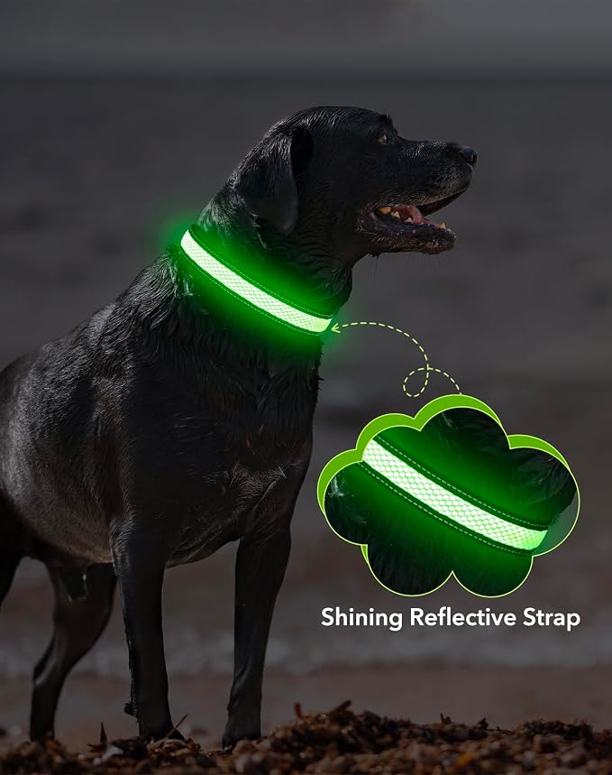 Weesiber Light Up Dog Collar - LED Dog Collar Rechargeable Glow in The Dark Reflective Pet Collar, Safety Doggy Lights for Night Walking(Green, M) - Image 8