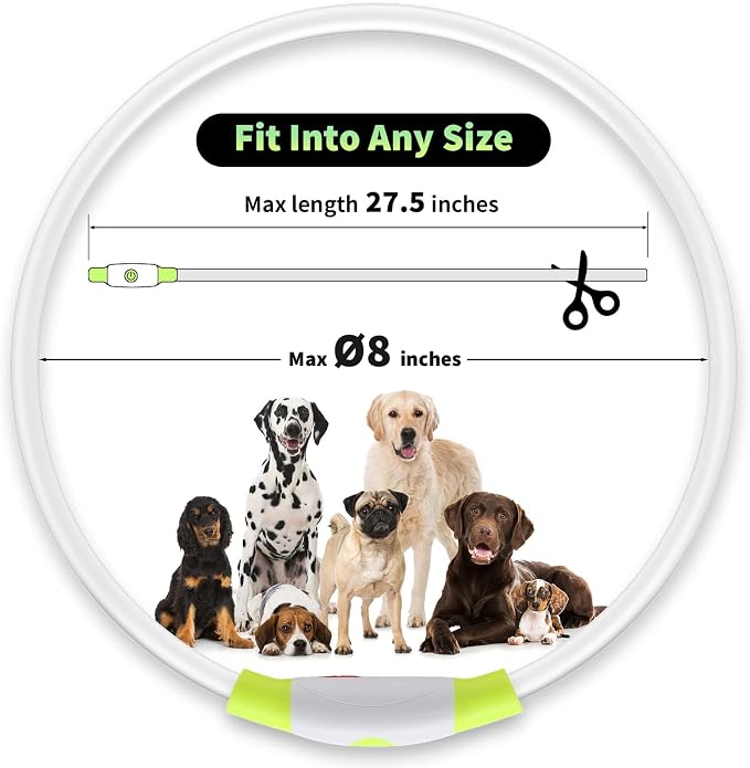 Light up Dog Collar, LED Dog Collar USB Rechargeable, YFbrite Waterproof Dog Collar Light for Small, Medium, Large Dogs & Cats (Pink+Green) - Image 6