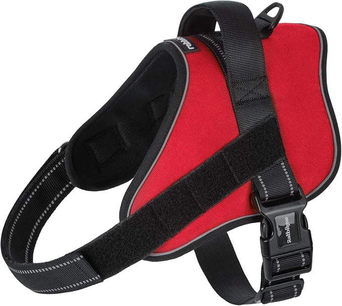 rabbitgoo No Pull No Choke Pet Vest, Adjustable Pet Harness with Molle | Medium Sized Dog Harness, Reflective, Easy Wearing with One Buckle for Walking, Training, Red, M by rabbitgoo