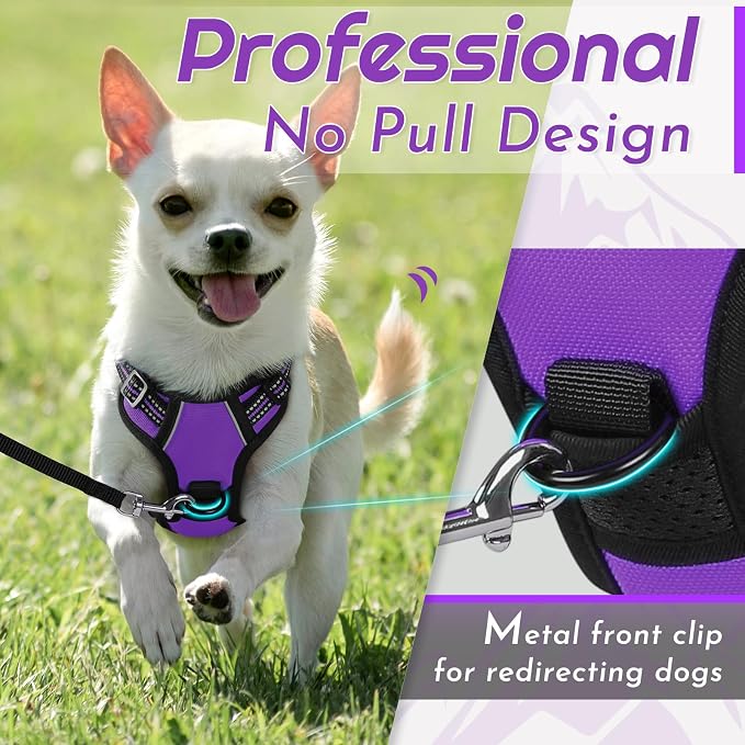 Eagloo Dog Harness for Small Dogs, No Pull Pet Vest with 2 Leash Clips | No Choke with Handle, Adjustable Comfort Fit, Reflective Strips, Easy Walking Control, Purple, X-Small - Image 3
