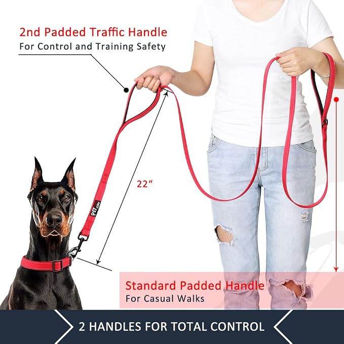 Plutus Pet Double Handle Dog Leash, 5 FT Long, for Medium Large Dogs | Reflective Nylon, Soft Padded 2 Handles, Heavy Duty for Training, Dual Handle Lead, 5 FT x 1”, Red - Image 2