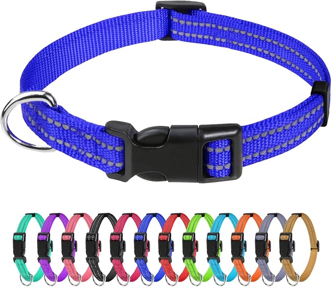 TagME Small Dog Collar, Reflective Puppy Collar, Royal Blue, 3/8" Width | Lightweight, Nylon Collar for Puppies, Chihuahua, Yorkie & Teacup Dogs 5-15 Lbs, Reflective for Evening Walks, 12 Colors by TagME
