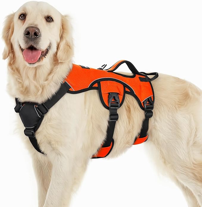 rabbitgoo Escape Proof Dog Harness for Large, No Pull with Lift Handle | No Escape, Full Soft Padded, Reflective Adjustable Vest, Leash Clip for Walking Hiking Training, Orange, Large by rabbitgoo