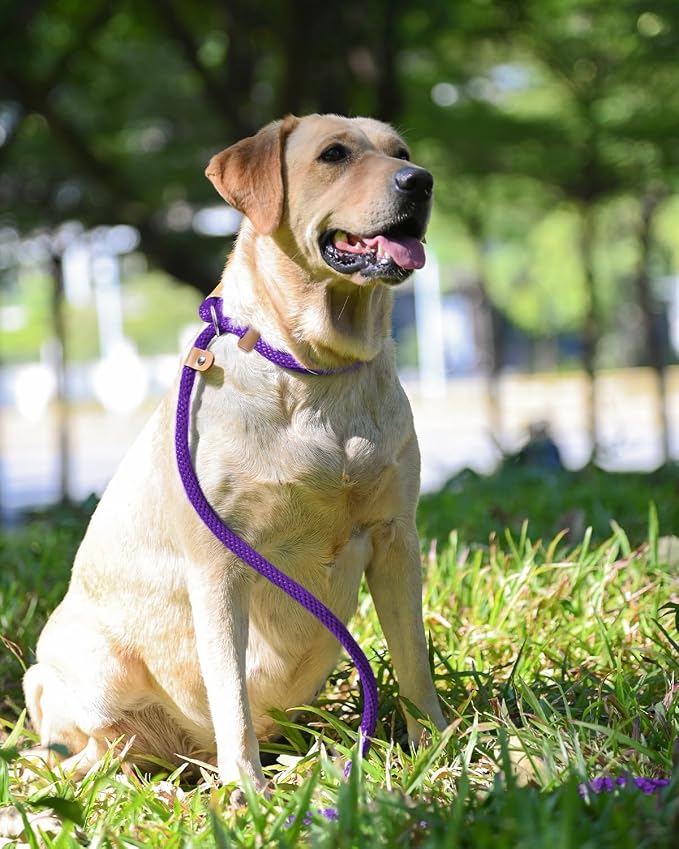2 Pack Dog Leash Slip Lead Braided Rope Pet Training Loop Leashes 5ft 6ft | Lynxking Strong Heavy Duty 1/2" 3/8", Durable Padded Handle No Pull Basic Training Nylon Lead,Small Medium Large Dogs Puppy - Image 7