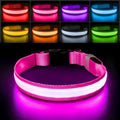PcEoTllar Light up Dog Collar, Safe for Night Walking, Adjustable, Pink, M | Colorful RGB Light, Waterproof, For Small Medium and Large Dogs, Durable Material, USB to Charge by PcEoTllarPetSupplies
