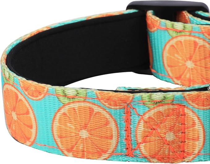 Reflective Dog Collar, Adjustable Soft Neoprene Padded,Summer Lemon,S | Breathable Nylon for Small Dogs,Tear-Resistant Webbing,Chafe‑Free on Walks and Hikes,Metal D-Ring,Night Safety - Image 5