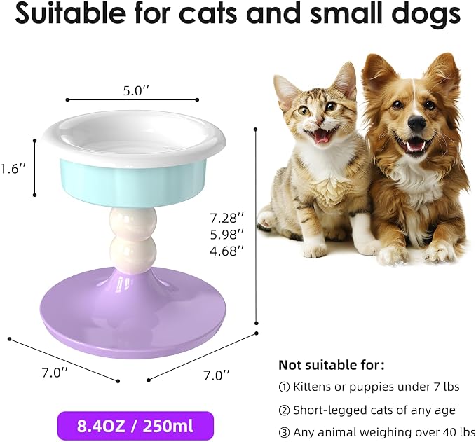 Elevated Ceramic Cat Bowl, Tilted Raised Cat Food Bowl for Indoor Cats, Whisker Friendly Anti Vomiting Cat Feeding Bowl with Non-Slip Stand, Lavender Mint - Image 9
