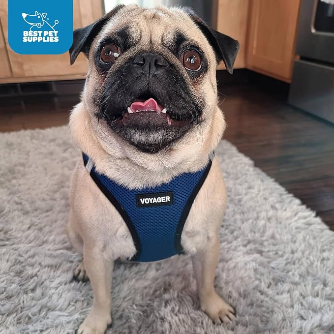 Voyager Step-in Air Dog Vest Harness - Blue/Black Trim, Medium | 16 - 18" in Chest, Reflective Bands, All Weather Breathable Air Mesh, Cats Compatible, Lightweight, Fast Drying - Image 10