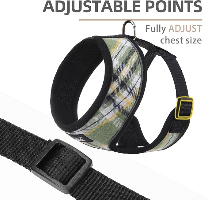 PUPTECK Small Dog Harness and Leash Set No Pull for XS XXS Sized Dogs Puppy | Escape Proof No Choke Pet Cat Adjustable Soft Padded Walking Vest - Image 2