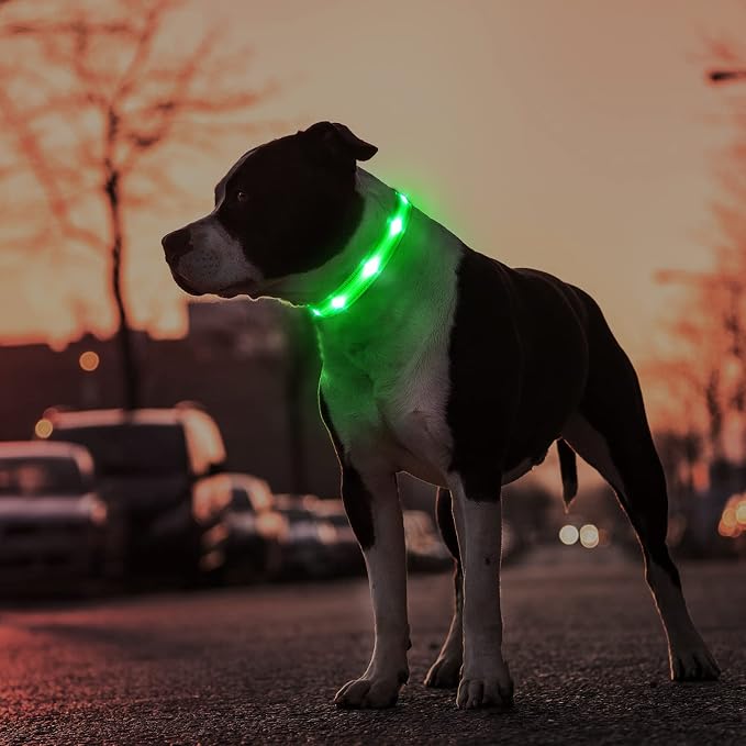 MASBRILL Led Dog Collar, Rechargeable Water-Resistant Night Safety Collar - Image 5