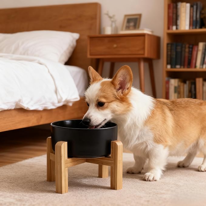 Elevated/Raised Ceramic Dog Bowl with Bamboo Stand，6 Inch 3.6 Cups Non Slip Heavy Weighted Single Pet Dish, for Small Medium Breed & Cats,Reduces Neck Strain Black - Image 8