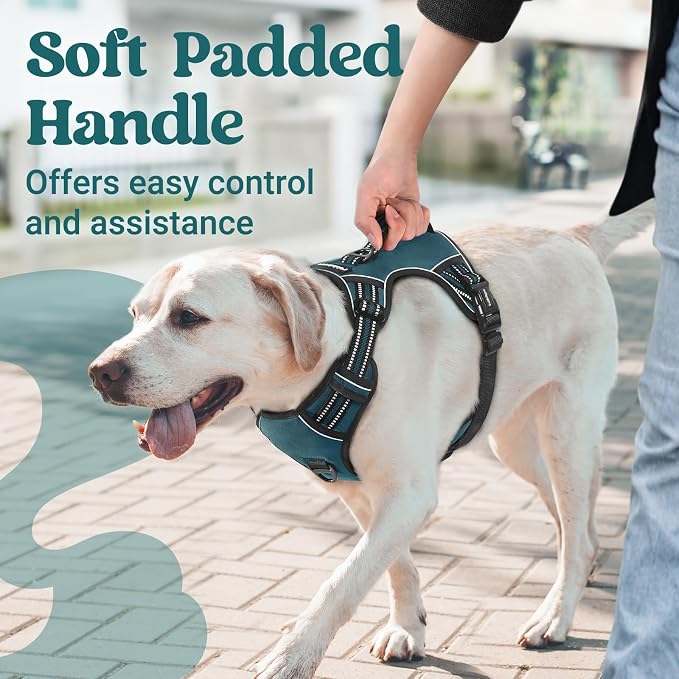 rabbitgoo Large Dog Harness, Easy Wear with 3 Buckles and Lift Handle | No Pull with Front Clip for Walking, Adjustable Soft Padded, Reflective, Easy Control, Green, Medium - Image 2