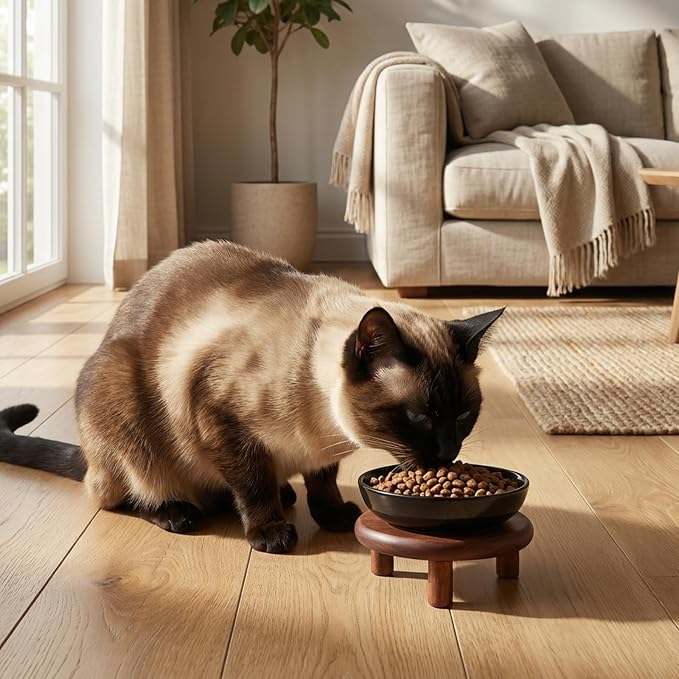 SPUNKYJUNKY Extra Wide Elevated Ceramic Cat Bowl with Acacia Wood Stand Whisker Friendly (Cat Paw Pattern, 2 Pack, Black) - Image 6