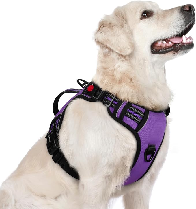 rabbitgoo Large Dog Harness, Easy Wear with 3 Buckles and Lift Handle | No Pull with Front Clip for Walking, Adjustable Soft Padded, Reflective, Easy Control, Purple, Large by rabbitgoo