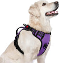 rabbitgoo Large Dog Harness, Easy Wear with 3 Buckles and Lift Handle | No Pull with Front Clip for Walking, Adjustable Soft Padded, Reflective, Easy Control, Purple, Large by rabbitgoo