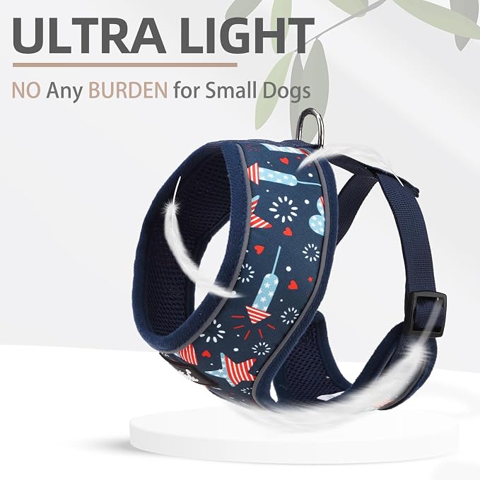 PUPTECK Small Dog Harness and Leash Set No Pull for XS XXS Sized Dogs Puppy | Escape Proof No Choke Pet Cat Adjustable Soft Padded Walking Vest - Image 5