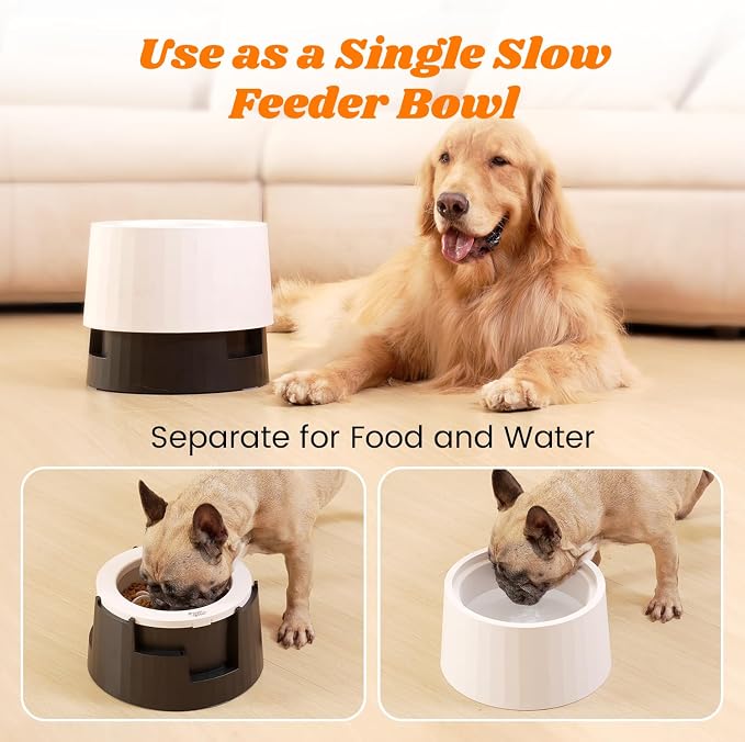 Pawque Elevated 60oz Slow Feeder Dog Bowls Large Breed Raised Food Bowl | Bowls for Medium Large Sized Dogs, Stable Sturdy Base and Snap on Adjustable Height Stand, Anti-Slip Mess Proof Dog Bowls - Image 7