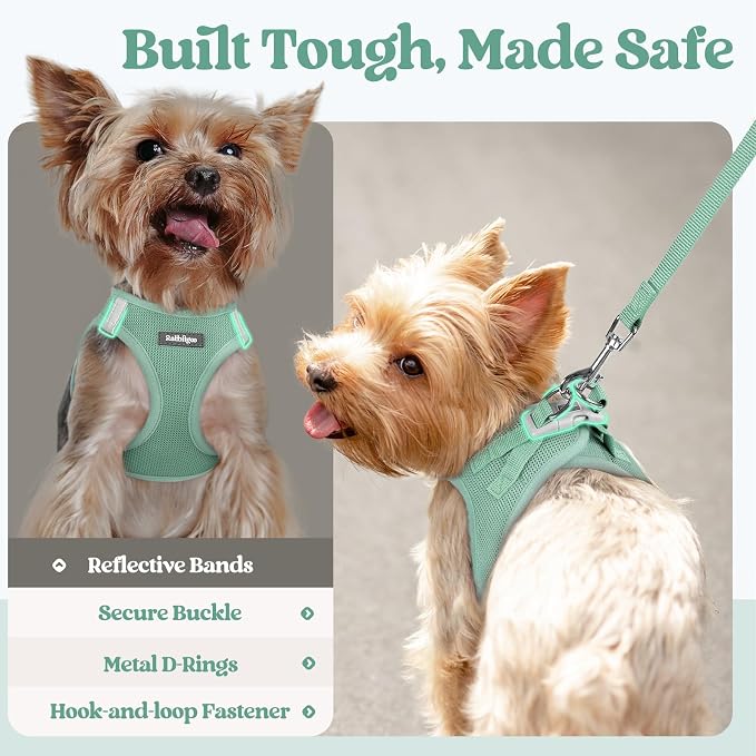 rabbitgoo Dog Harness Small Sized and Leash Set, Step-in Puppy Pet Vest | Light, Soft, Breathable Air Mesh, Easy on and Remove with Hook & Loop, Secure Reflective for Walking, Moss Green S - Image 8