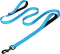 Joytale Dog Leash for Large Dogs that Pull, Double Handle, 6FT, Aqua Blue | Traffic Handle for Control, Padded Handle Reduces Hand Strain, Reflective Stitching for Night Safety, Strong Nylon Webbing by Joytale