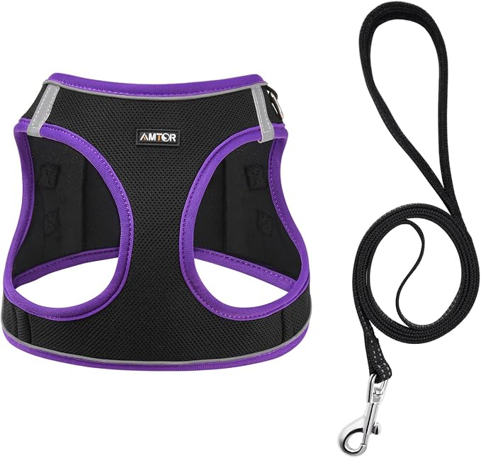 AMTOR Small Dog Harness with Leash Set, No Escape Easy Walk Puppy Harnesses for Training Walking, Step-in Reflective Soft Dogs Vest for XS S Medium Extra-Small Large Sized Dog(Black/Purple,M) - Image 2
