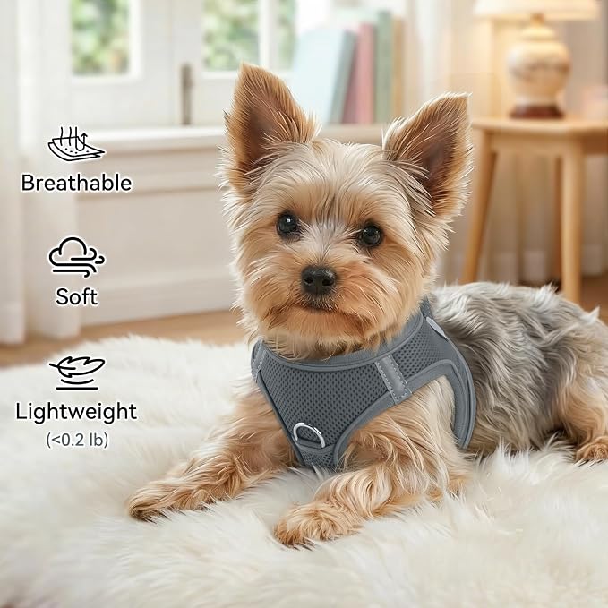 Joytale Step-in Dog Harness, Soft Breathable Mesh, Gray XXXS | Adjustable Fit for Small Dogs, Easy Step-in with Secure Fastener, Even Chest Pressure, Reflective For Night Safety, Washable - Image 4