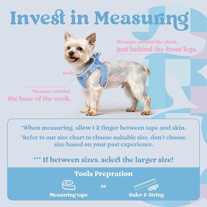 rabbitgoo Step-in Small Dog Harness, Puppy Vest for Small Sized Pet | Easy Put on and off, Lightweight, Soft, Breathable Quick-Dry Air Mesh for Comfortable Secure Walking, Blue & Plaid Trim M - Image 2